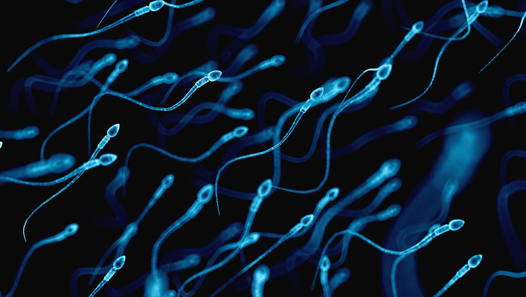 Falling sperm counts that threaten human survival linked to chemical exposure