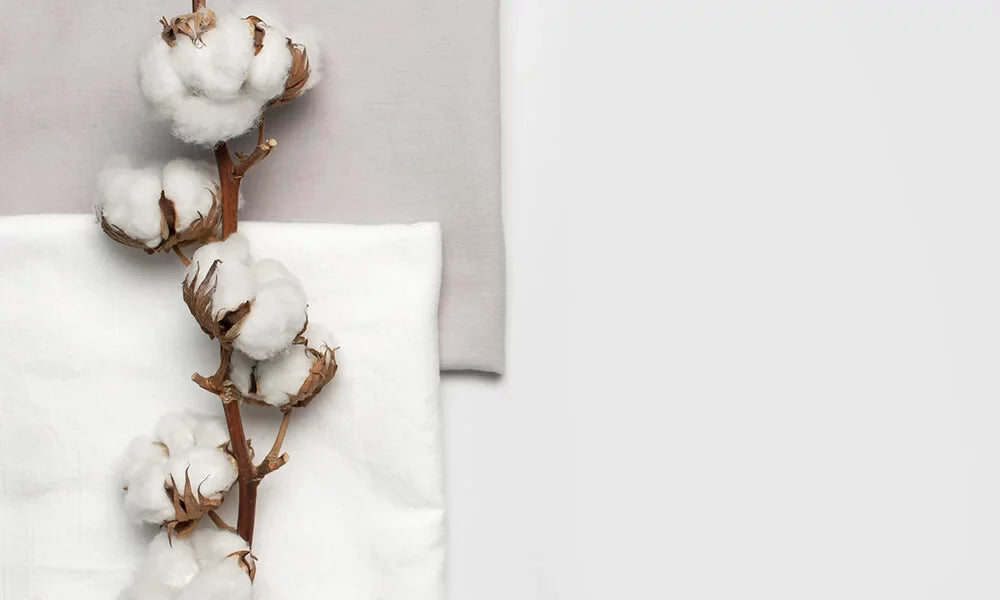 Why Organic Men’s Underwear is the Upgrade Your Body Deserves
