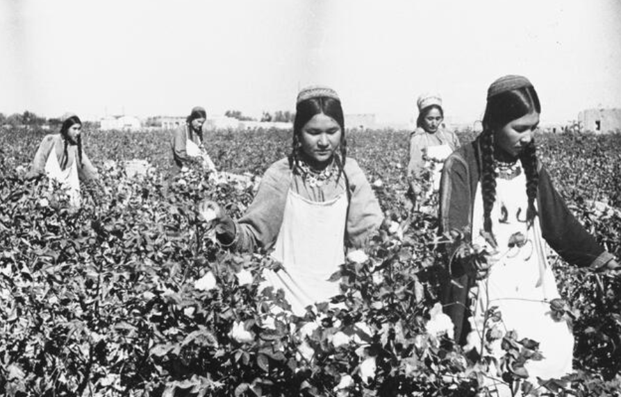 The Shift from Natural to Synthetic: The Environmental Impact of the Clothing Industry's Oil Dependency