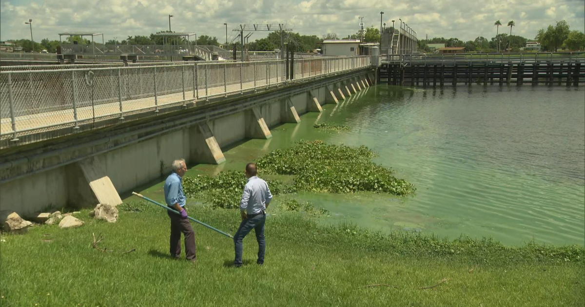 Is a Florida environmental catastrophe happening again?