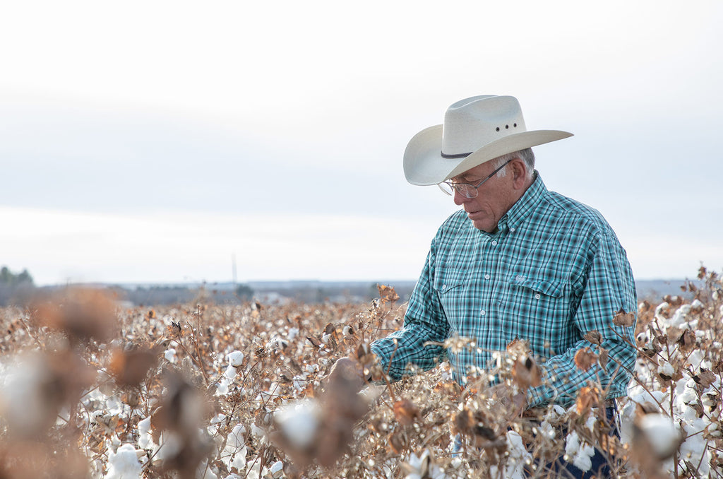 Major brands pledge to achieve sustainable cotton by 2025