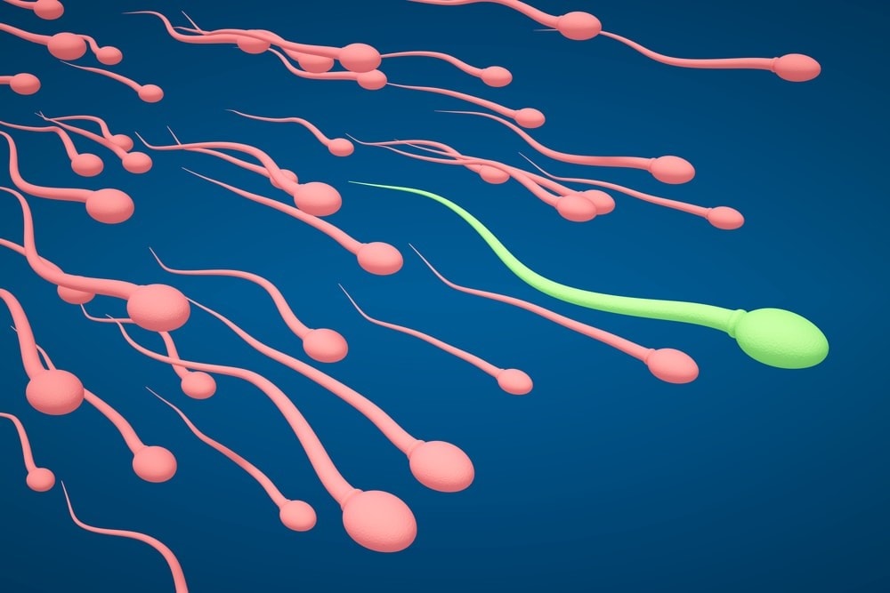Sperm fertility affected by polyester